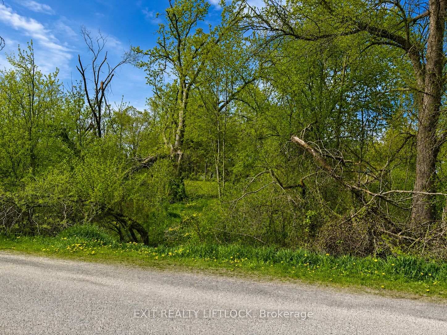 Property Photo:  0 Maple Ridge Drive  ON K0L 2W0 