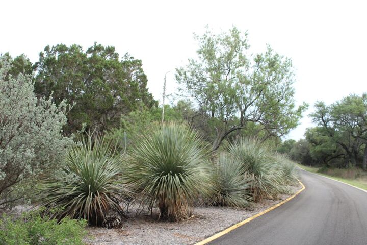 Property Photo: 3101 Brasada Lane TX 78654