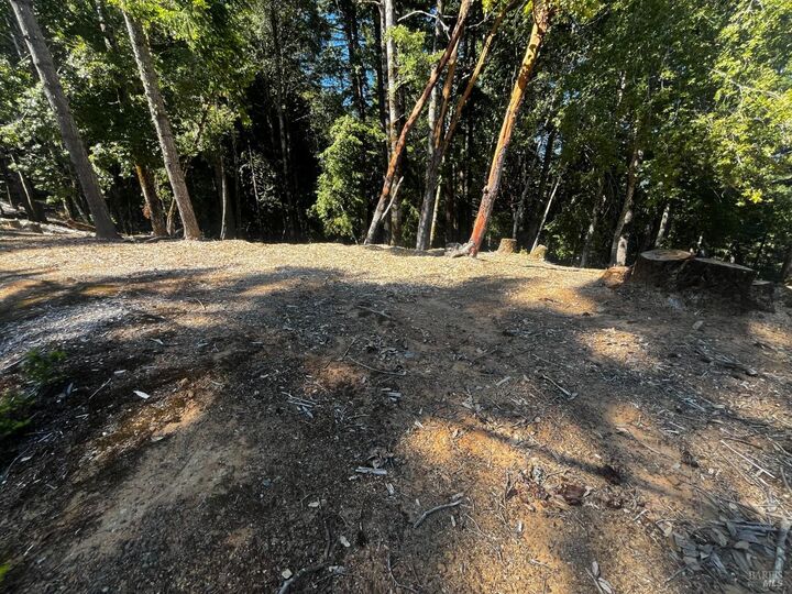 Property Photo:  2374 Goose Road  CA 95490 