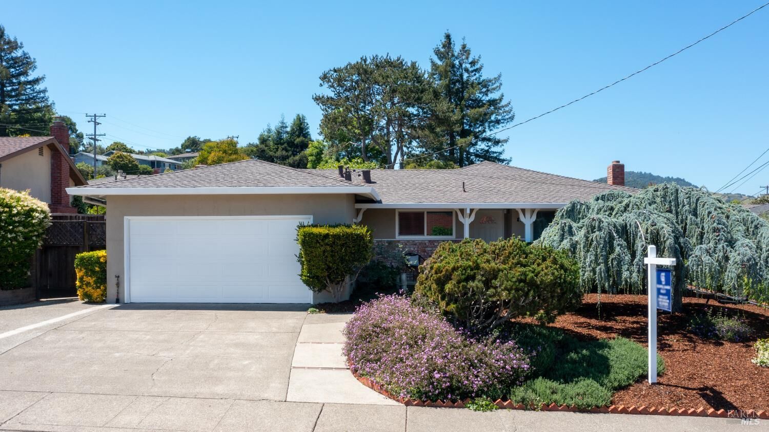 Property Photo:  532 Tamarack Drive  CA 94903 