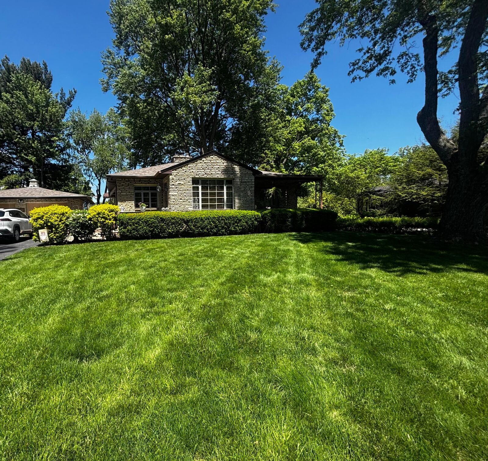 Property Photo:  220 Lintner Street  OH 43230 