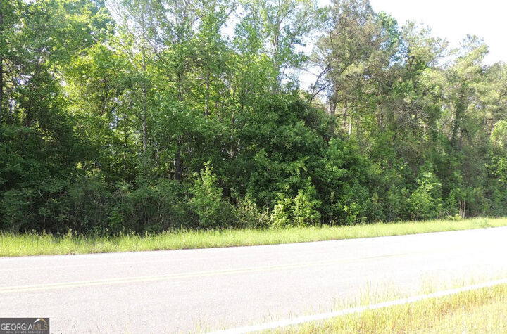 Property Photo:  0 Causey Rd  GA 31050 