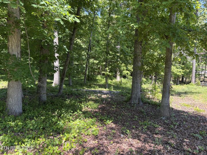 Property Photo: E Shore Drive TN 37854