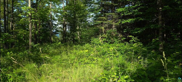 Property Photo:  83xxx Ashwabay Heights Rd  WI 54814 