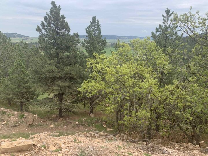 Property Photo: 13038 Lance Lane SD 57769