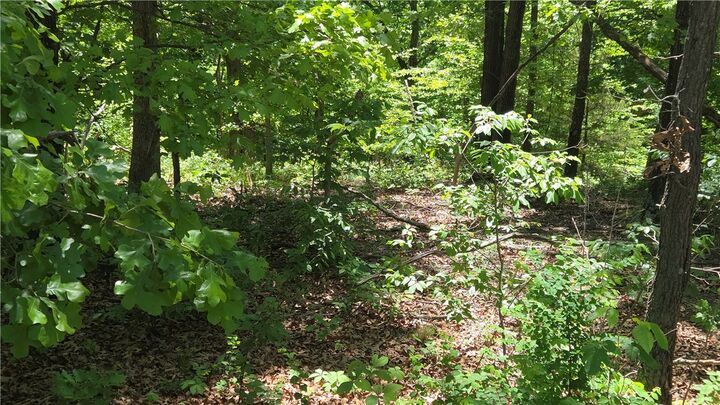 Property Photo:  Tummell Drive  AR 72715 