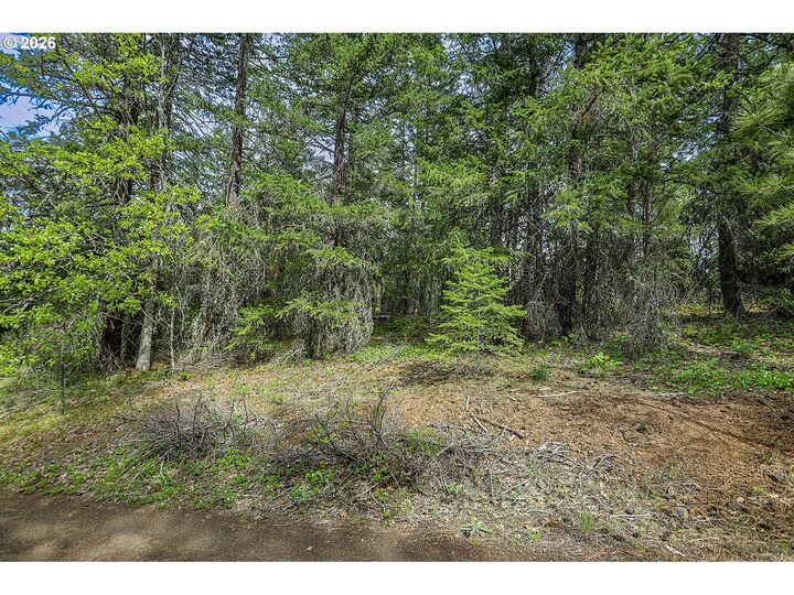 Property Photo: Nka N Lake Dr 24 WA 98620