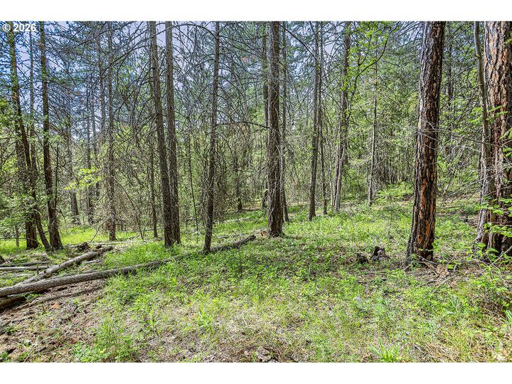 Property Photo: Nka Forest Glen Dr #37 WA 98620