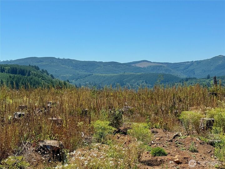 Property Photo:  3700  Little Kalama River Road 6  WA 98584 