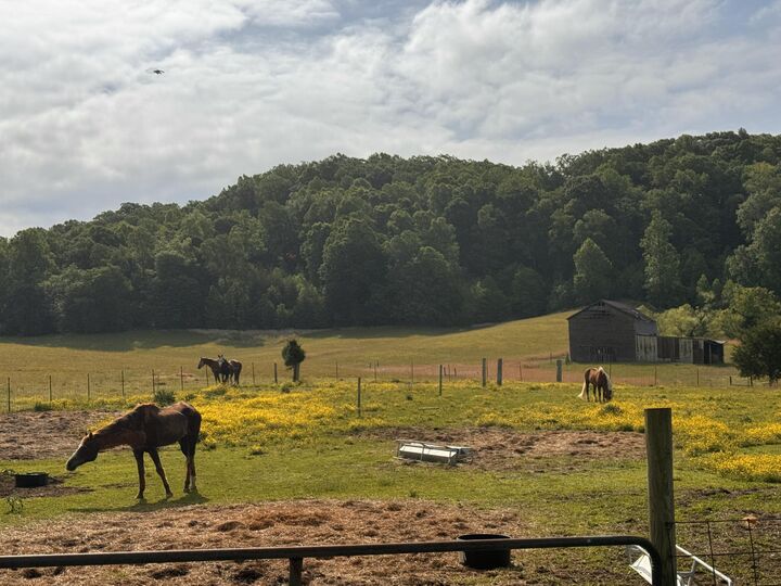 Property Photo:  1245 Paint Rock Valley Road  TN 37846 