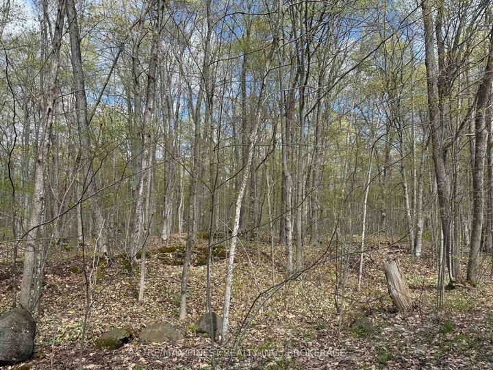 Property Photo: 162 Black Rapids Road ON K0E 1N0
