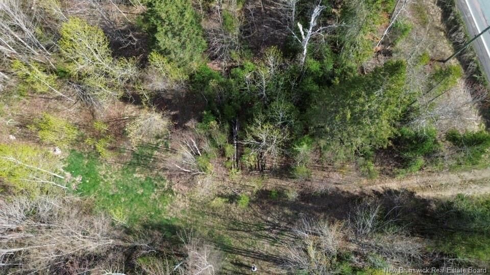 Property Photo:  Lot Route 126  NB E4T 2Z5 