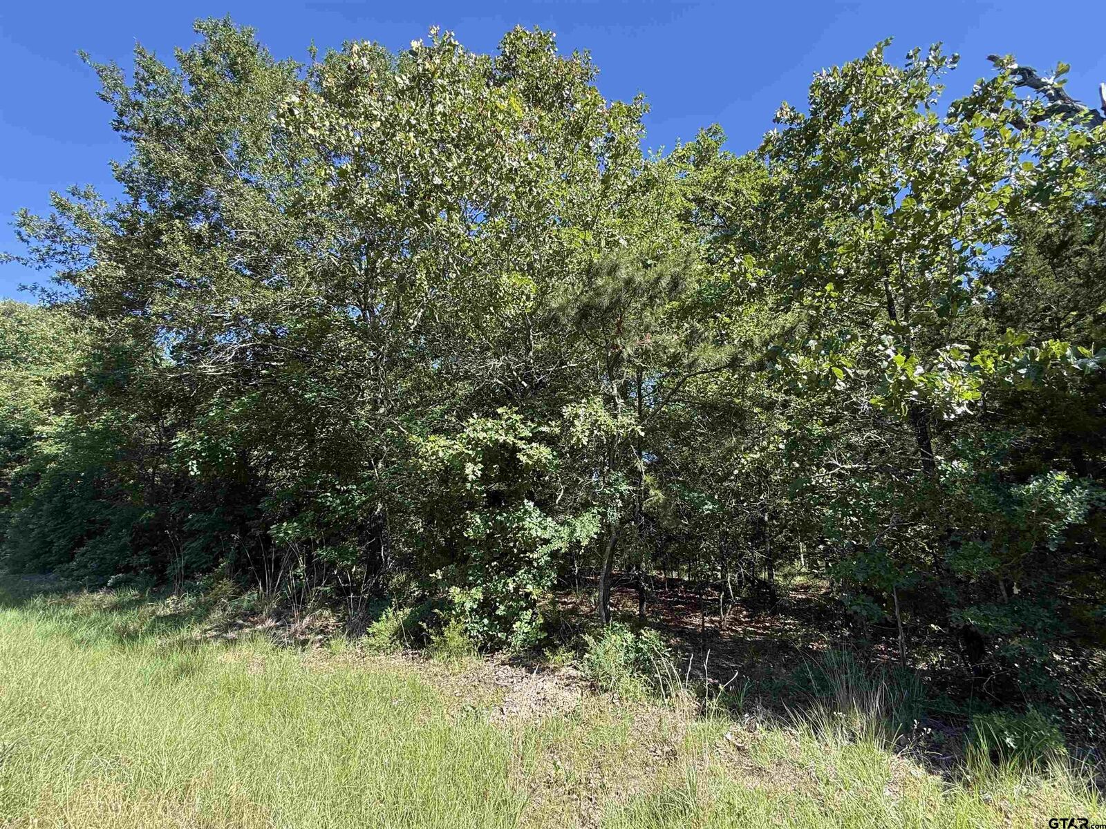 Property Photo:  000 Cr 457  TX 75773 