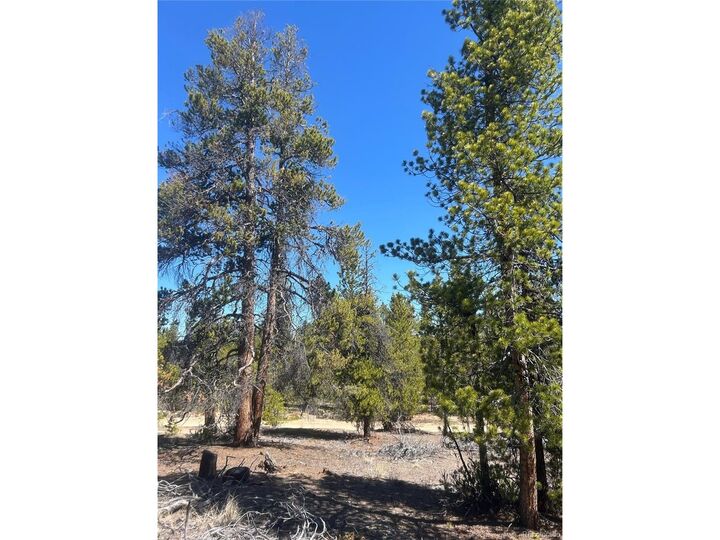 Property Photo:  266 Ponderosa Dr  CO 80461 
