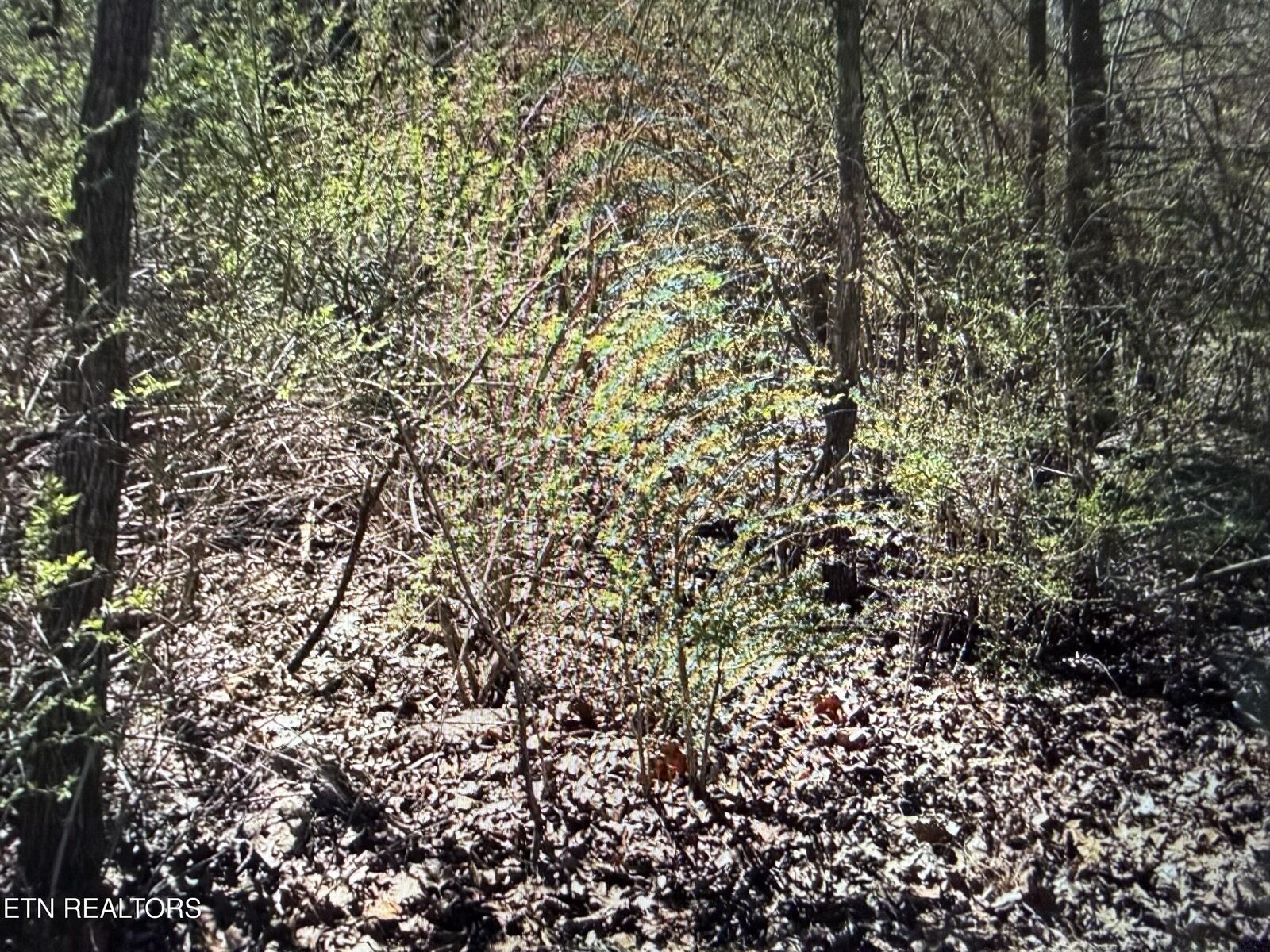 Property Photo:  0 Tenth/Knight  TN 38555 