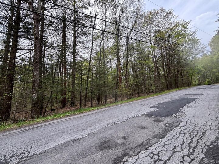 Property Photo:  Braden Road  NY 12763 