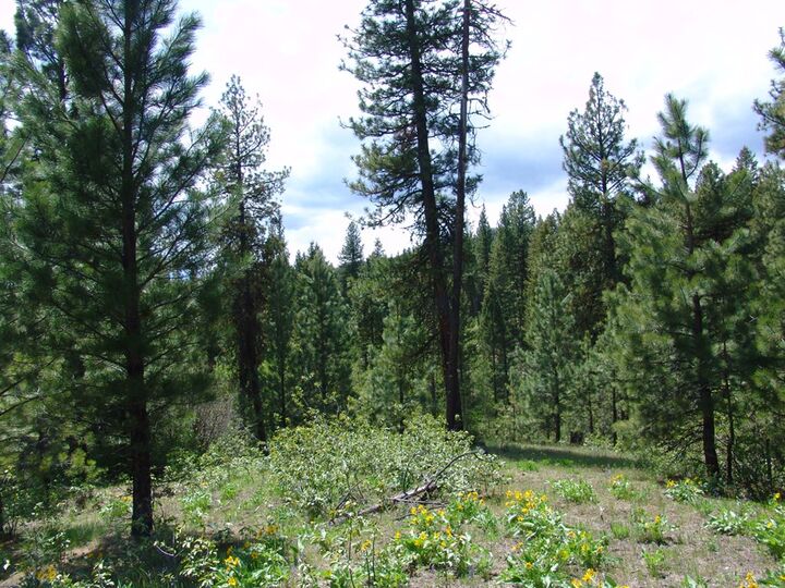 Property Photo:  28 Rehn Loop  ID 83611 