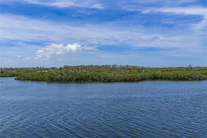Property Photo: 8150 Brent Street 725 FL 34668