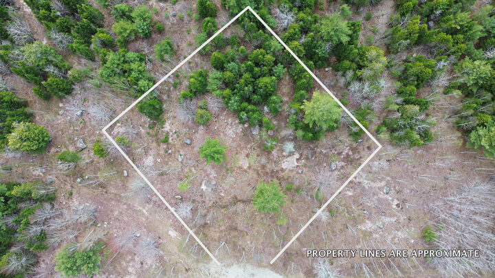 Property Photo: Lot 16 Bailey Mountain Road ME 04634