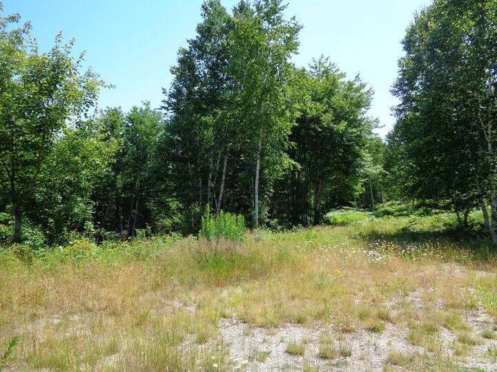 Property Photo: Lot 16 Bailey Mountain Road ME 04634