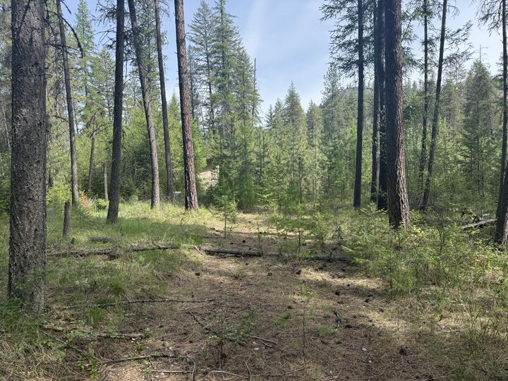 Property Photo: 67 First Thought Loop WA 99146