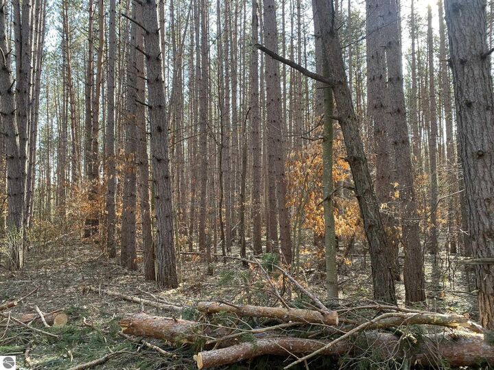 Property Photo:  Deer Run Drive  MI 49601 