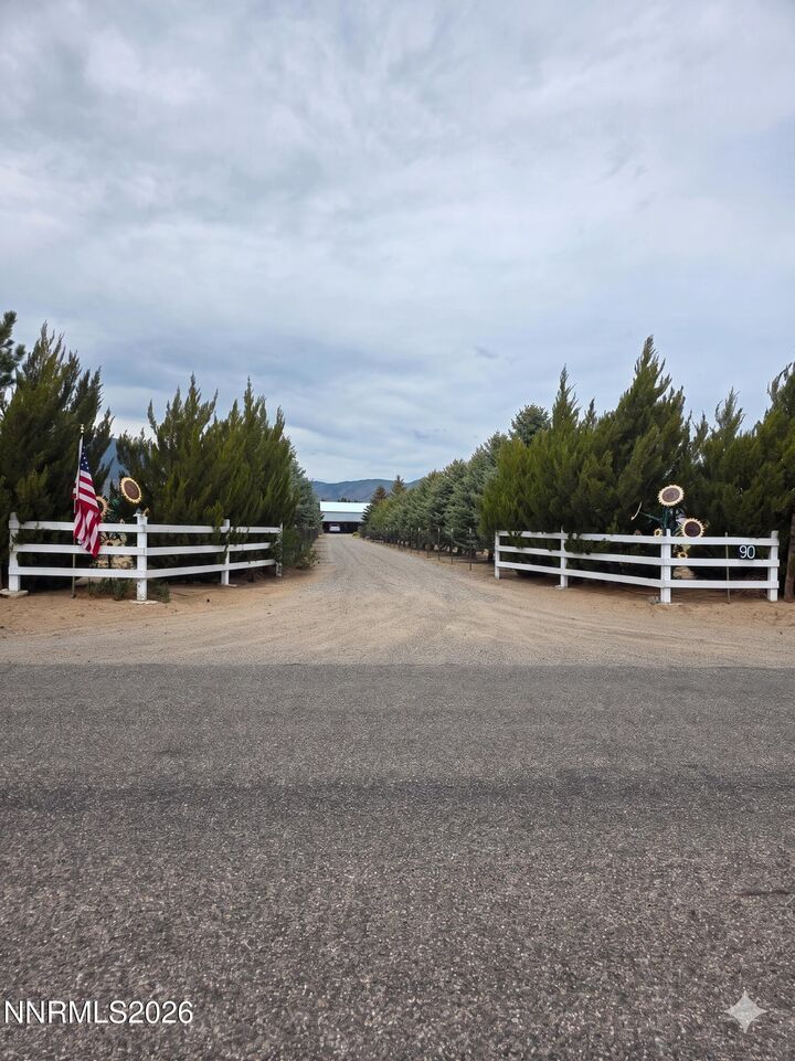 Property Photo: 90 Artist View Road NV 89444