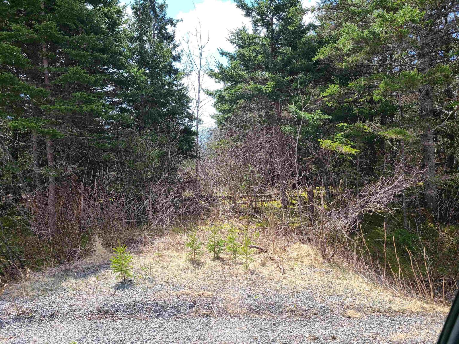 Property Photo:  Highway 344  NS B0H 1G0 