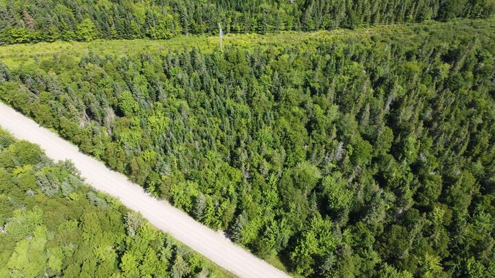 Property Photo:  Lot 2 Calabash Road  NS B1X 1K1 