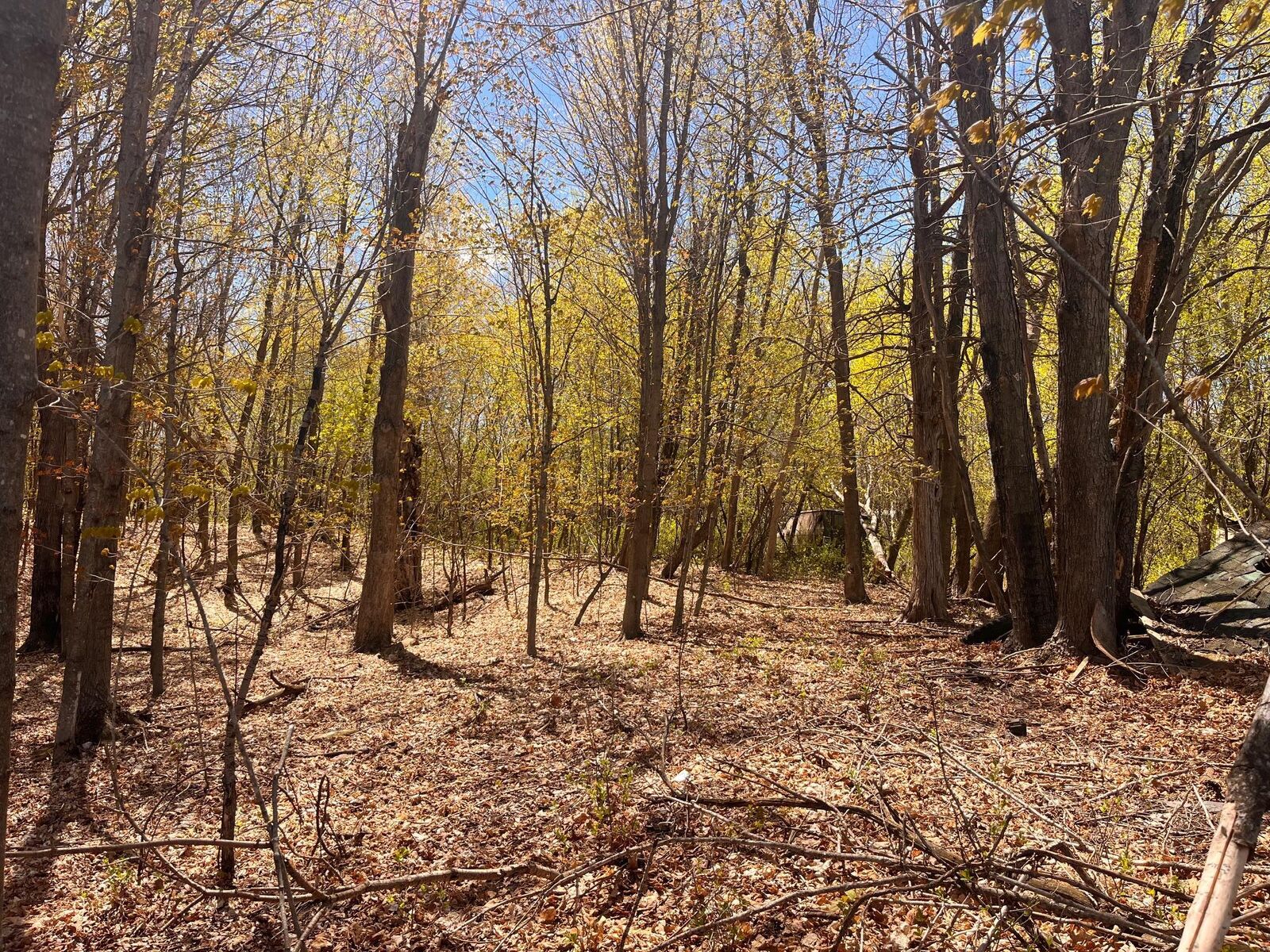 Property Photo:  1812 300th Ave  WI 54837 