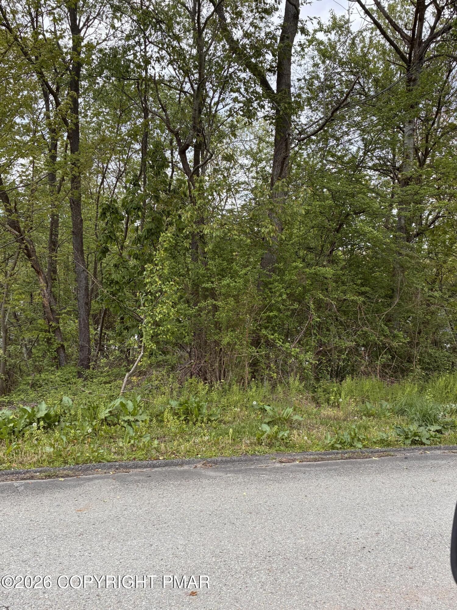 Property Photo:  Park Street  PA 18433 