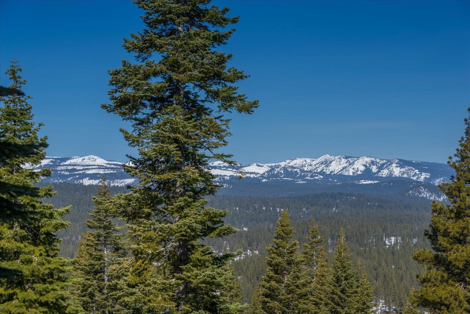 Property Photo:  2640 Mill Site Road  CA 96161 
