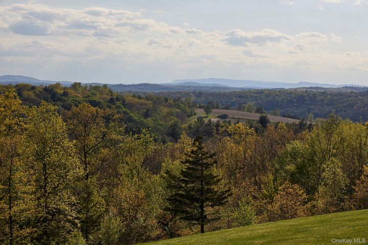 Property Photo:  790 Stanford Road  NY 12514 
