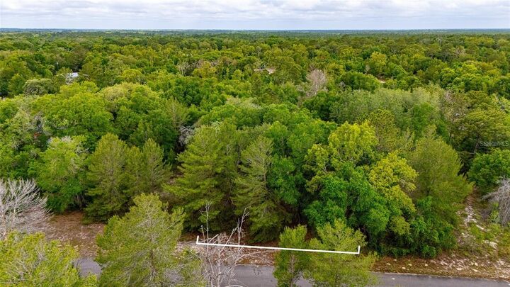 Property Photo:  Magnolia Drive  FL 32179 