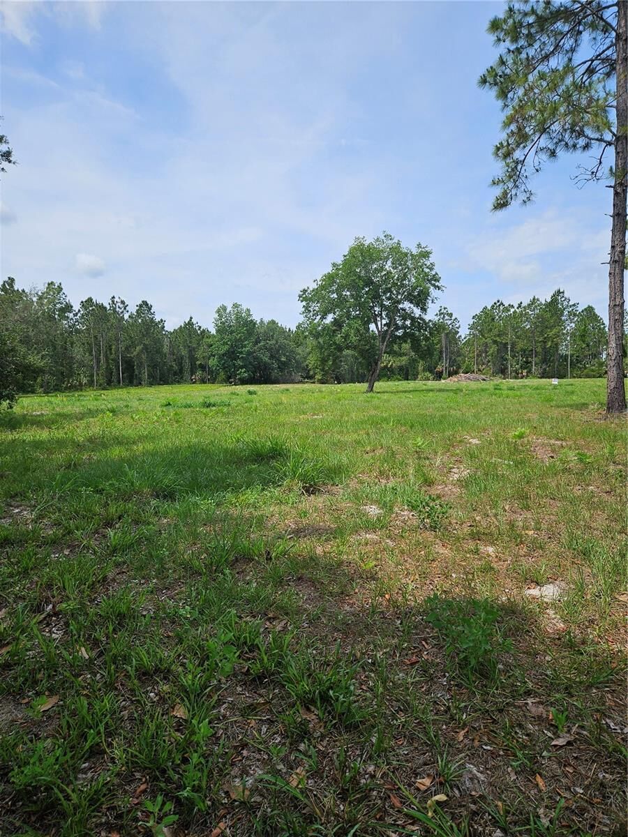 Property Photo: Geneva Woods Cove FL 32732