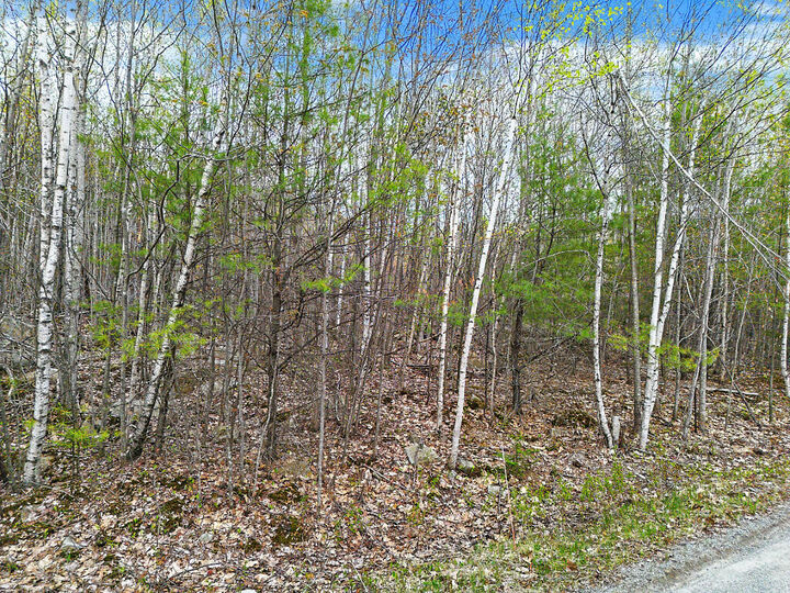 Property Photo:  Lot #5 Murdock Place  ME 04917 