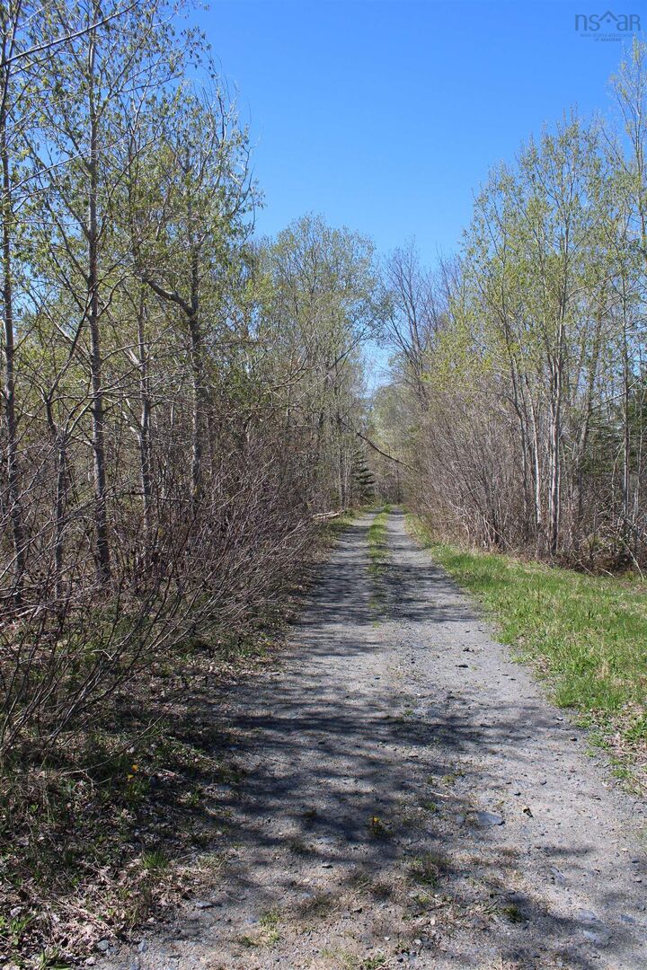 Property Photo:  Lot 1 Mary Jane Riley Road  NS B0S 1B0 