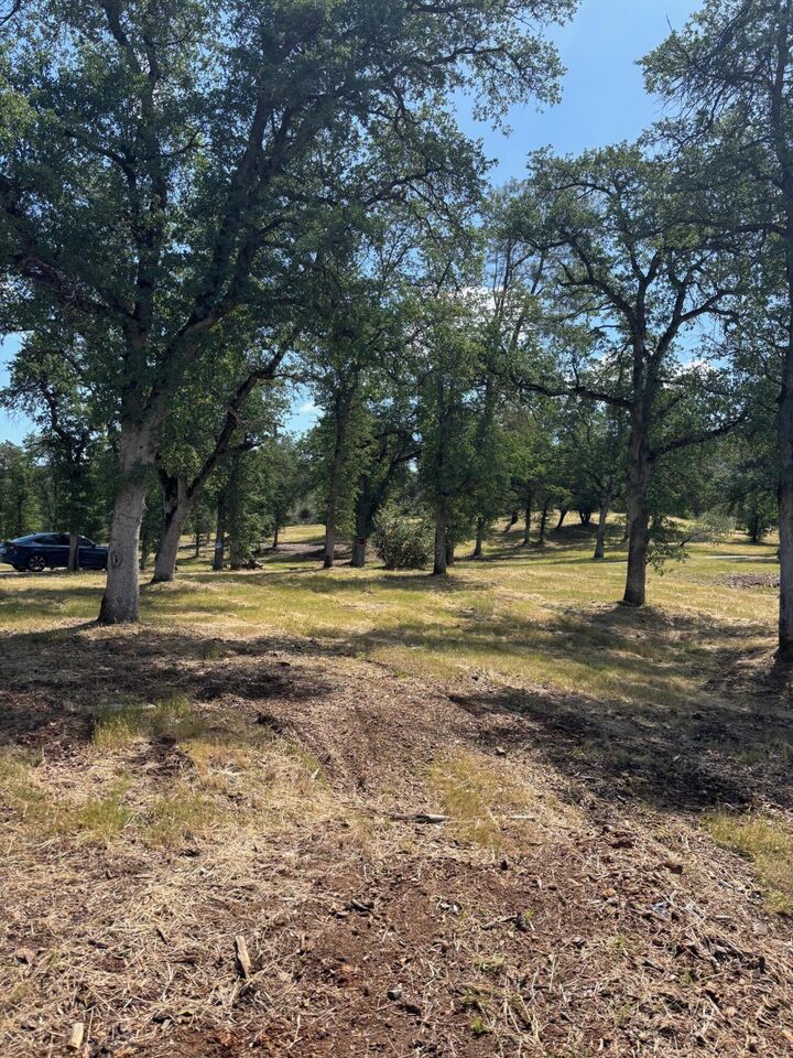 Property Photo:  16177 Lower Springs Road  CA 96001 