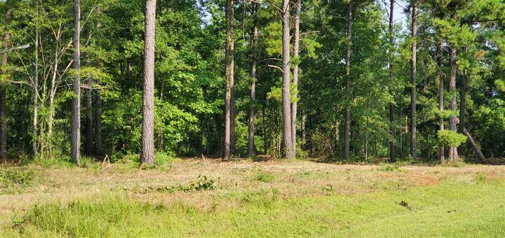 Property Photo: Lot 12 Block A Mountain View Way GA 39819