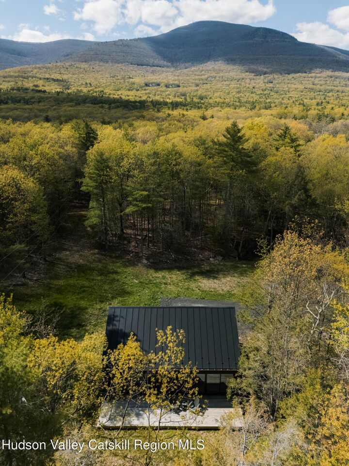 Property Photo:  115 Goat Hill  NY 12477 
