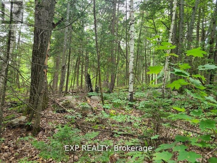 Property Photo:  20 Peplinskie Homestead Road  ON K0J 1B0 