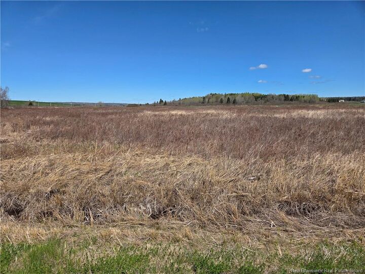 Property Photo:  None Anderson Mill Road  NB E4K 3Z2 