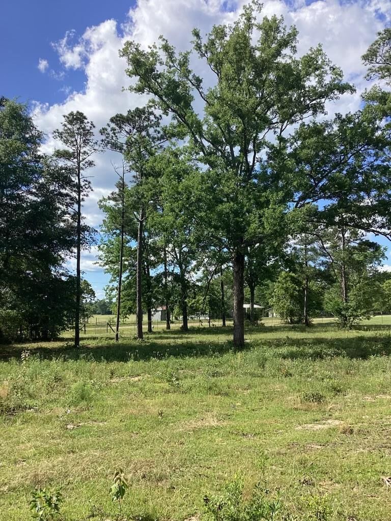 Property Photo:  291 Young Road  GA 31801 