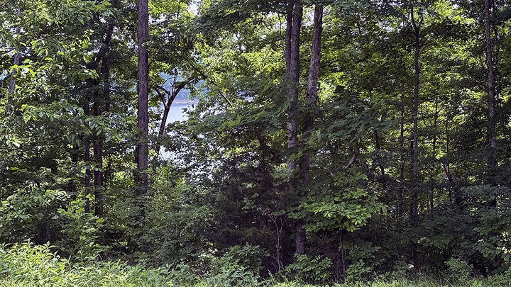 Property Photo:  Lot 47 Cumberland Shores  KY 42633 