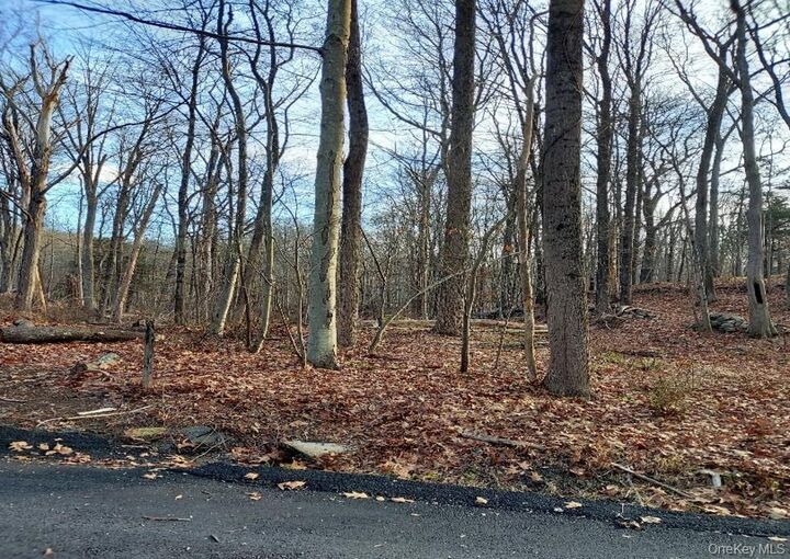 Property Photo:  Laurie Lane  NY 10590 