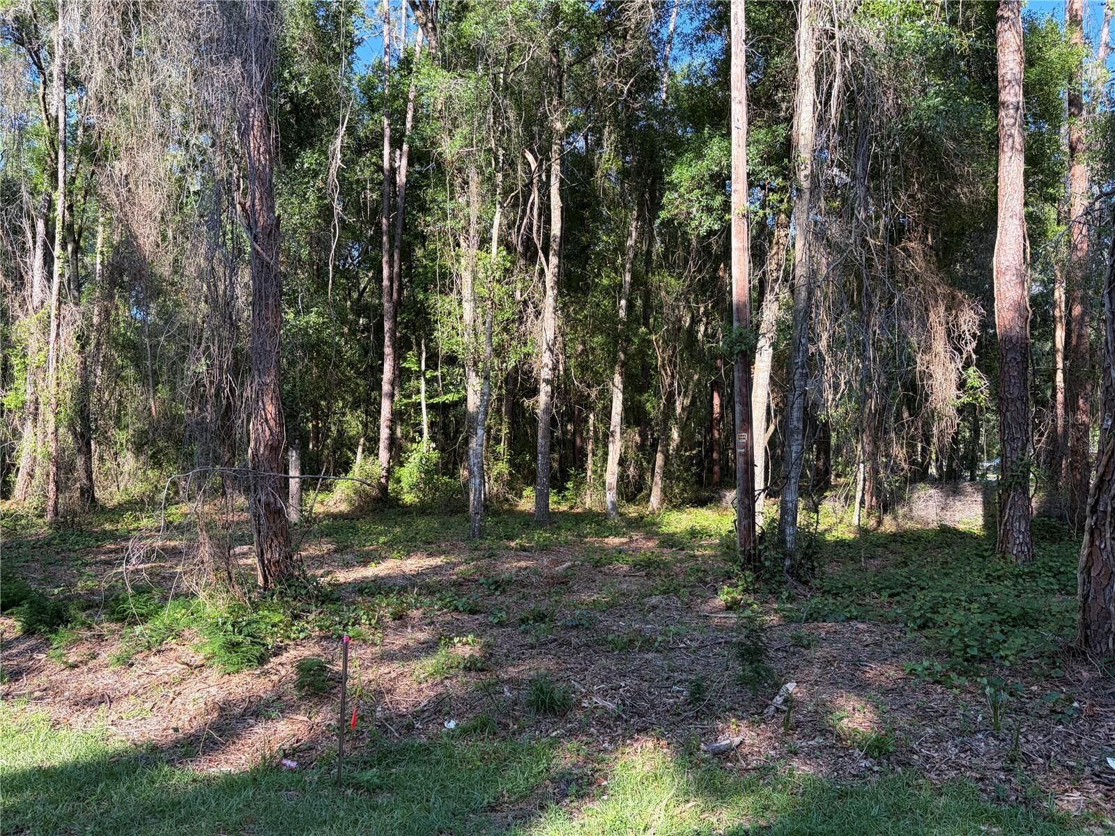 Property Photo:  9192 Cr 647cs  FL 33513 