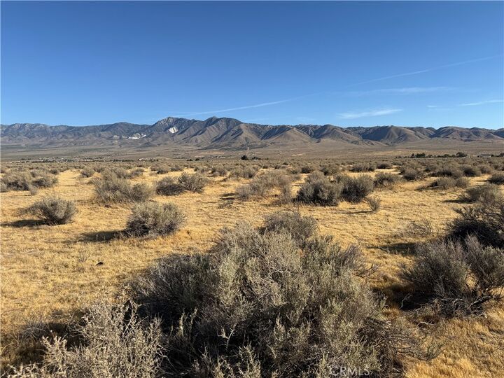 Property Photo: 0 Lucerne Valley CA 92356