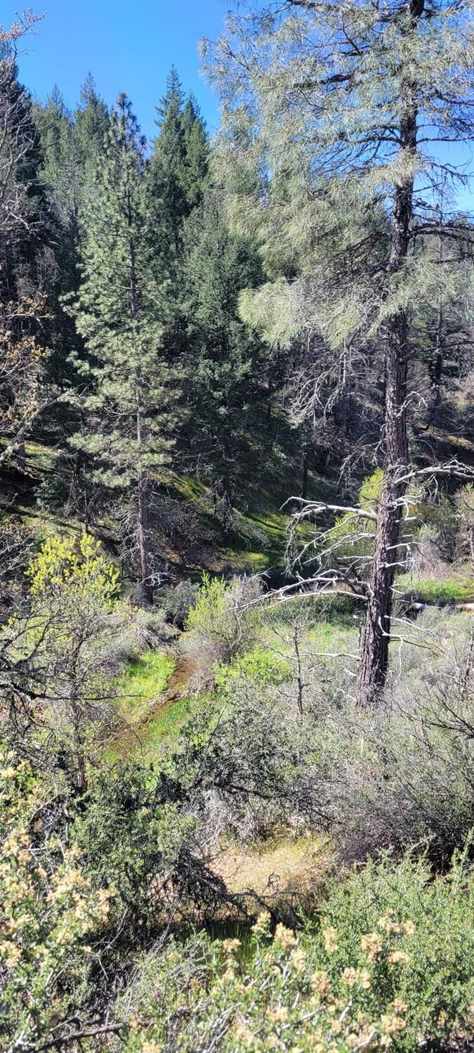 Property Photo:  2400 White Rock Road  CA 96076 