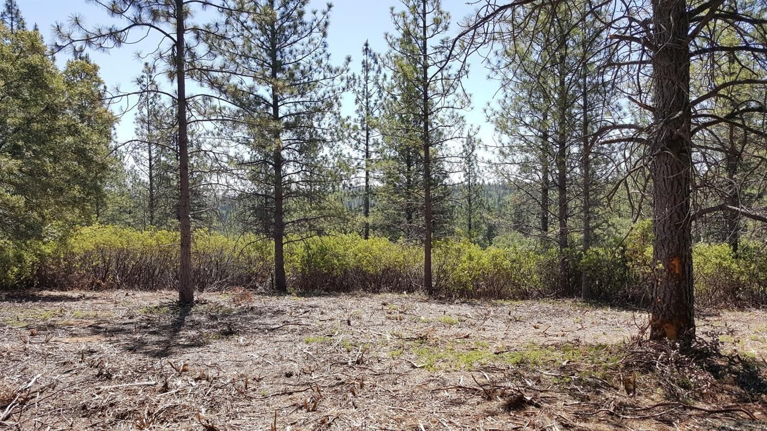 Property Photo:  0 Deardorff Road  CA 95232 