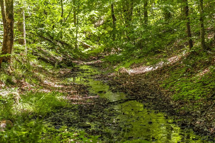 Property Photo:  8388 Cub Creek Rd  TN 37209 